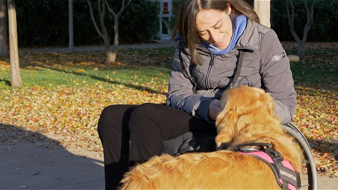 Cani di assistenza in ufficio, una storia di inclusione in Intesa Sanpaolo