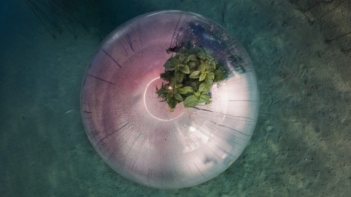 Biosphere underwater farming #3, Italia, 2021 © Luca Locatelli
