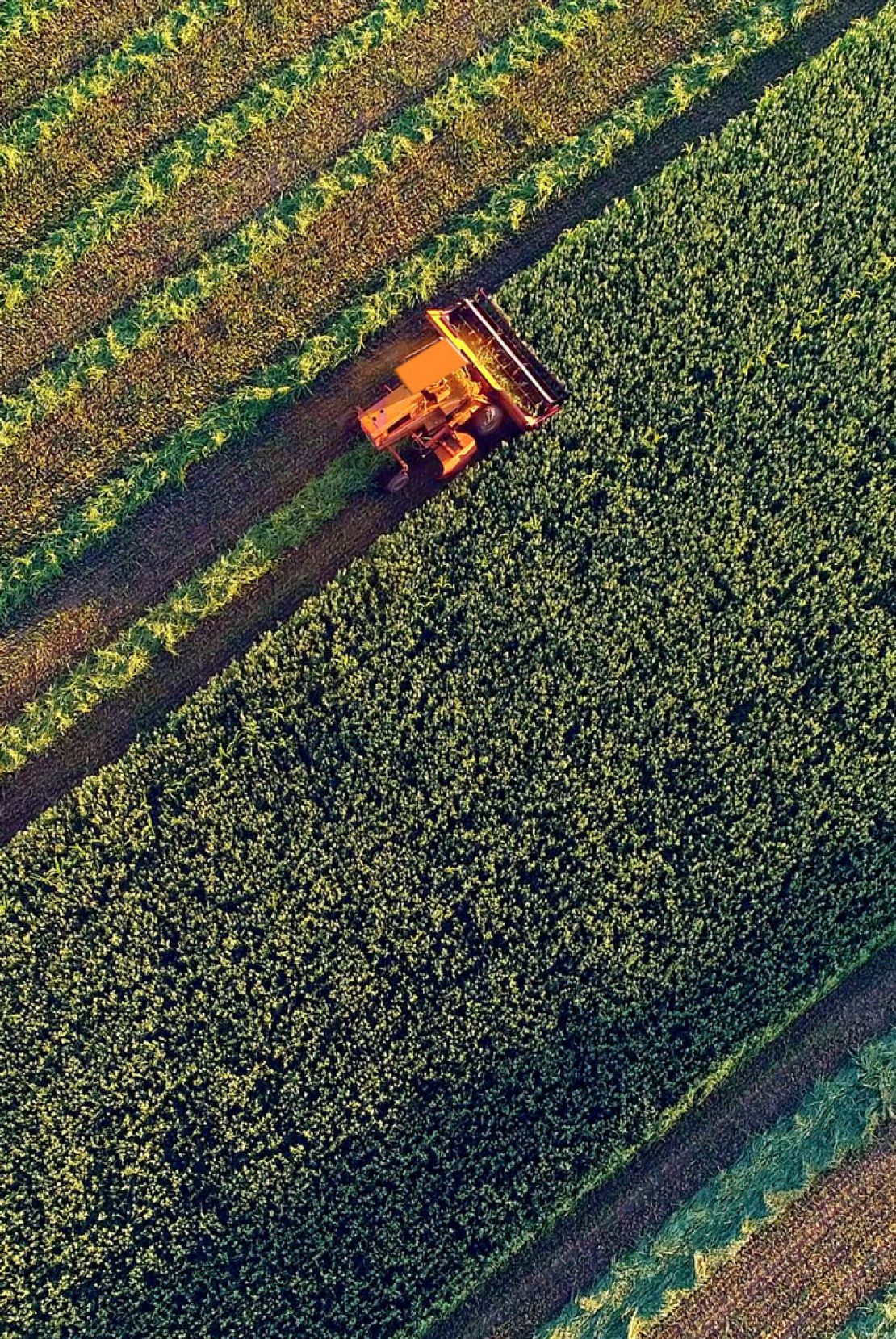 Regenerative agriculture