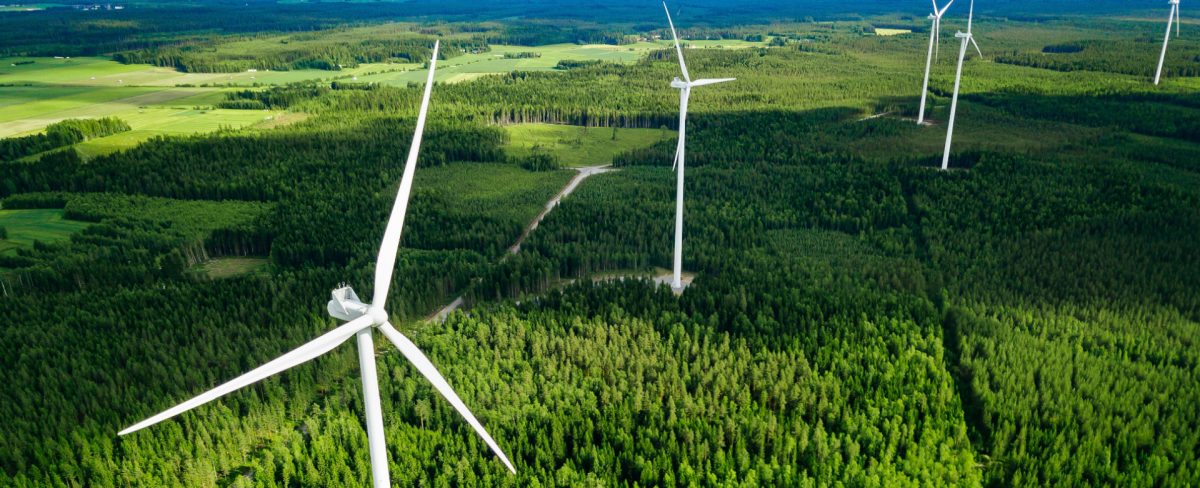 Fighting climate change: the first S-loan with SACE green guarantee. S-Loan Climate Change is a unique initiative in the banking sector that allows companies to finance green and sustainable transformation projects