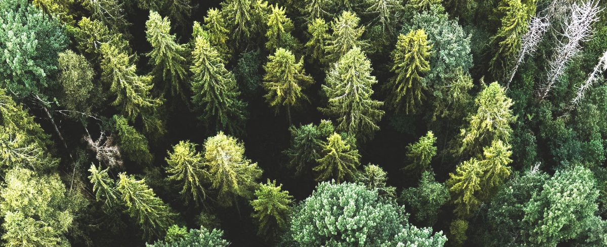 Eurizon and Fideuram join Net Zero Asset Managers Initiative. Eurizon Capital SGR and Fideuram AM SGR are the only Italian asset managers to have joined NZAMI to date