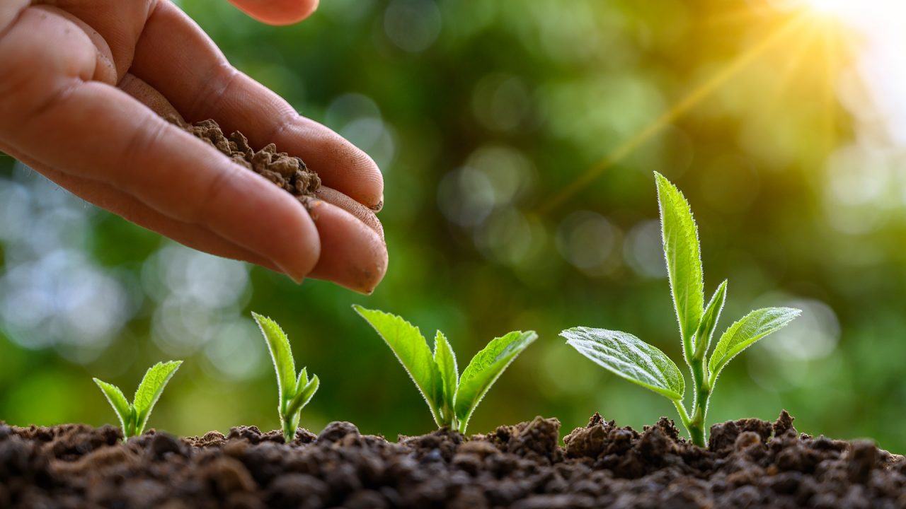 Enti Non Profit costituiti da Intesa Sanpaolo