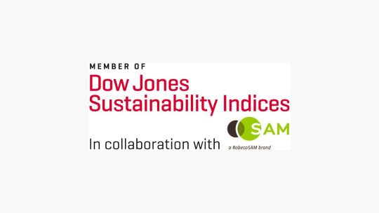 Logo DJSI