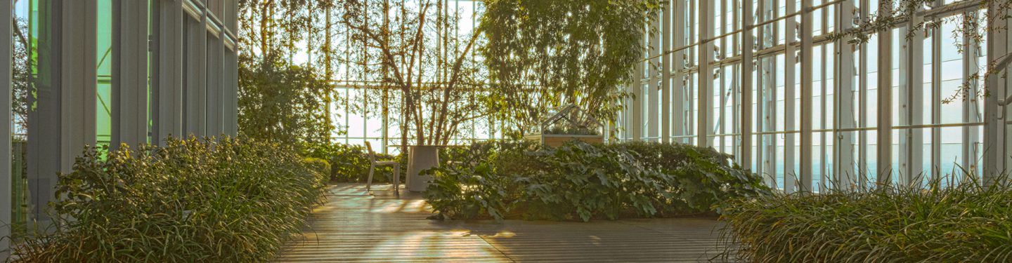 Image of Intesa Sanpaolo's bioclimatic greenhouse