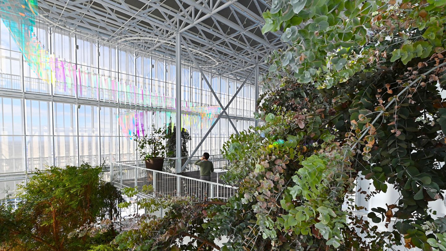 Serra bioclimatica Intesa Sanpaolo
